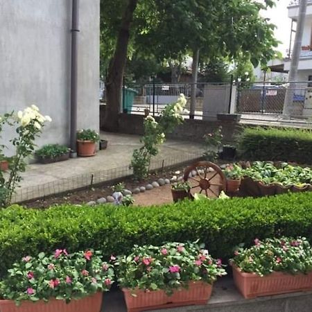 Hotel Къща Мечта à TTchernomorets Extérieur photo